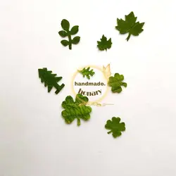 پک مینیاتوری برگ خشک