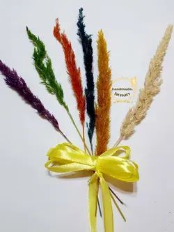 گل قمیش