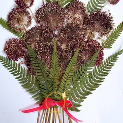 گل موسیر پرس‌شده