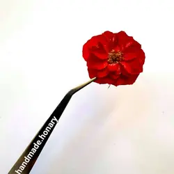 پنس سرکج