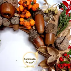 میوه بلوط خشک