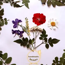 برگ یاس رازقی