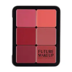 کانتور خشک و رژگونه فیوچر میکاپ 12 Color Contour/Blusher Powder