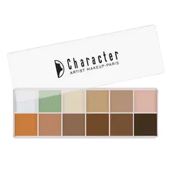 پالت کانسیلر کاراکتر Artist 12 Color Palette Concealer