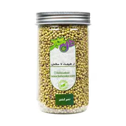 تخم گشنیز 120 گرمی هل سبز