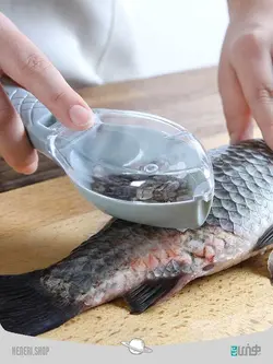 پولک گیر ماهی Fish scales