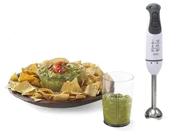 گوشت کوب برقی 3 کاره دلمونتی مدل DL 390 - هیرساکالا