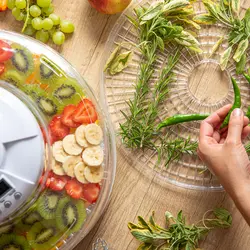 میوه و سبزی خشک کن سنکور مدل SFD 4235WH - هیرساکالا