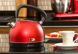 کتری برقی فکر مدل Goldie - هیرساکالا