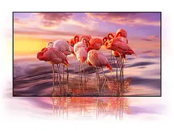 تلویزیون 55 اینچ 4K سامسونگ مدل 55Q60T