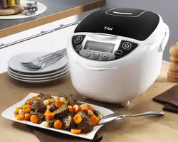 پلوپز تفال مدل RK7058 - هیرساکالا