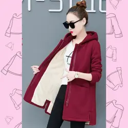 پالتو بهاره وارداتی کد 0092