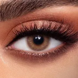 لنز دهب رنگ کت ای - فصلی و بدون نمره