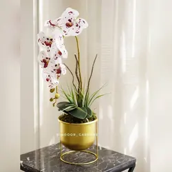 گلدان ارکیده | Indoorgardens