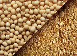 ساشا پروتئین سویا 250گ