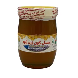 عسل گون زرد کوه ۱۰۰۰گرمی