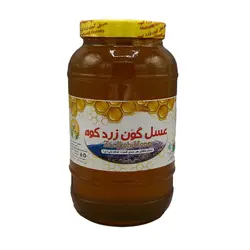 عسل گون زردکوه ۱۹۰۰گرمی