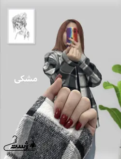 شکت چارخونه پارمیس
