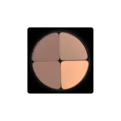 سایه چشم کریستال چهار رنگ لاکچری کوین