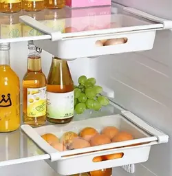 شلف تخم مرغ