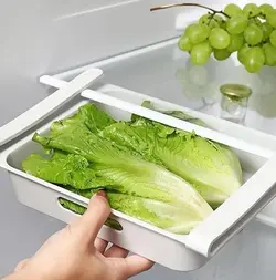 شلف تخم مرغ