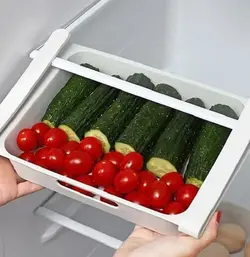 شلف تخم مرغ