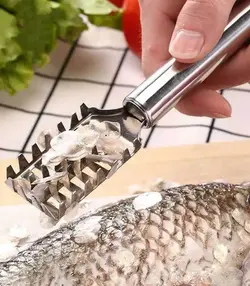 پولک گیر ماهی