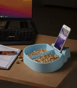 ظرف تنقلات کفشدوزک