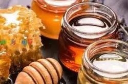 عسل آویشن ارگانیک