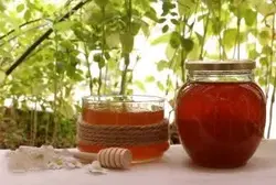 عسل گون گز انگبین ممتاز