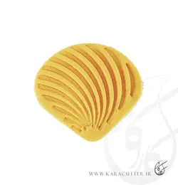 صدف خط دار- کد192