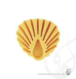 صدف جذاب- کد160