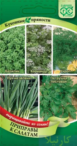 پک بذر ریحان ، بذر جعفری ، بذر شوید ، بذر گشنیز ، بذر پیازچه (بسته بندی اورجینال) - فروشگاه بذر و نهال کارنیلا :: تنها مرجع تخصصی بذر اورجینال ایران:: - 13 - آبان - 1401