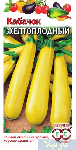 بذر کدو خورشتی با بسته بندی اورجینال - فروشگاه بذر و نهال کارنیلا :: تنها مرجع تخصصی بذر اورجینال ایران:: - 13 - آبان - 1401