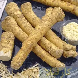 بذر ترب کوهی (بسته 10 عددی) بسته بندی اورجینال - فروشگاه بذر و نهال کارنیلا :: تنها مرجع تخصصی بذر اورجینال ایران:: - 13 - آبان - 1401