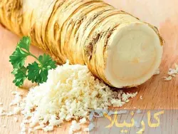 بذر ترب کوهی (بسته 10 عددی) بسته بندی اورجینال - فروشگاه بذر و نهال کارنیلا :: تنها مرجع تخصصی بذر اورجینال ایران:: - 13 - آبان - 1401