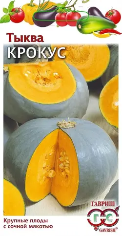 بذر کدو تنبل عروسکی - فروشگاه بذر و نهال کارنیلا :: تنها مرجع تخصصی بذر اورجینال ایران:: - 13 - آبان - 1401