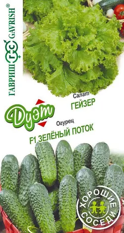 بذر کاهو+ خیار روسی F1 - فروشگاه بذر و نهال کارنیلا :: تنها مرجع تخصصی بذر اورجینال ایران:: - 13 - آبان - 1401