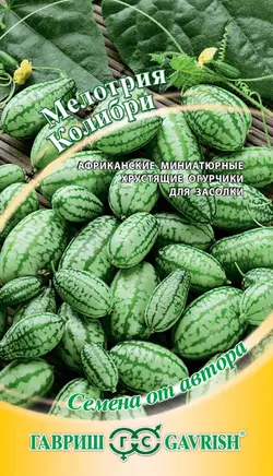 بذر خیار مکزیکی لیموئی ( بیست عددی) (هندوانه ای) - فروشگاه بذر و نهال کارنیلا :: تنها مرجع تخصصی بذر اورجینال ایران:: - 13 - آبان - 1401