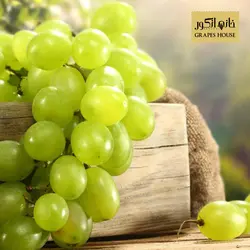 حلوامغزین شیره انگور کوچک