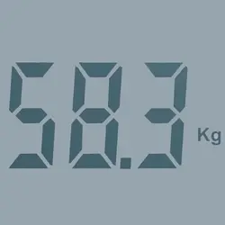 ترازو دیجیتال بوش مدل PPW3301