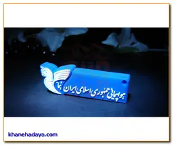 فلش مموری لوگو اختصاصی