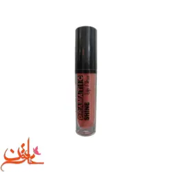 رژ لب مایع ایزابل مدل دراماتیک شاین شماره 210|فروشگاه خاتون