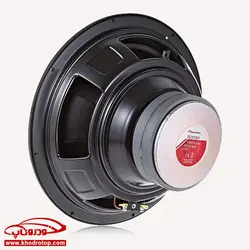 ساب ووفر_پایونیر Pioneer TS-300S4