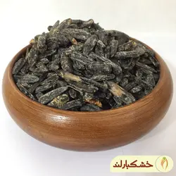 تخمه آفتابگردان گلپری