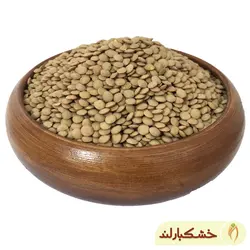 عدس