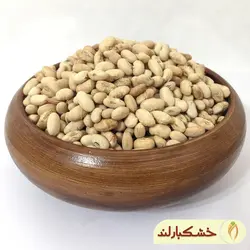 سویا آجیلی