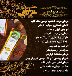 نبات مایع لیمویی 570gr