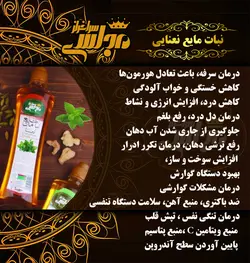 نبات مایع نعنایی 570gr