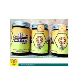 عسل شهد طبیعی کوهی | ٥٠٠ گرم